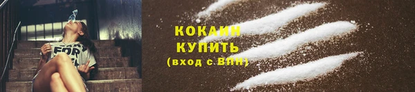 мяу мяу мука Заволжск