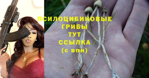 героин Заводоуковск