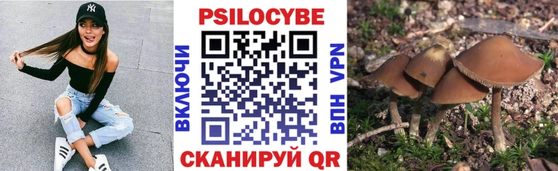 Псилоцибиновые грибы прущие грибы  Купить закладки  Гуково 